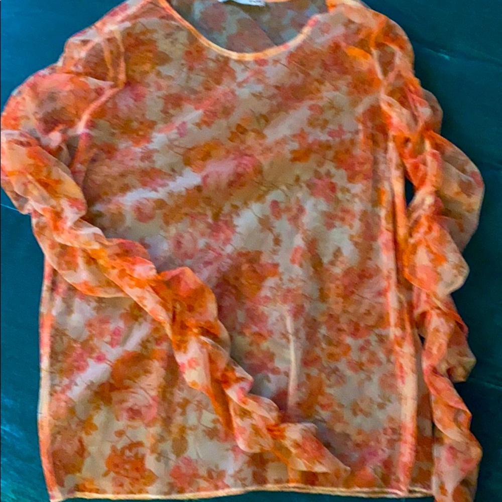 Sheer top.great gathered sleeves. Zara
